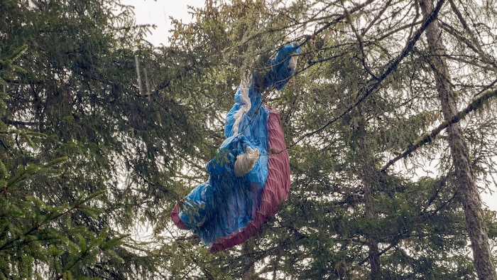 Der Paragleiter hing im Baum fest.