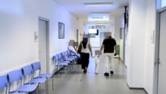 „Krone“ zu Besuch in der MA 35 – an manchen Tagen finden bis zu 25 Verleihungen der ...