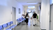 „Krone“ zu Besuch in der MA 35 – an manchen Tagen finden bis zu 25 Verleihungen der ...