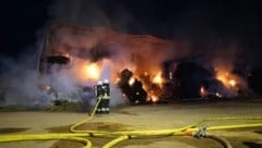 Feuerwehren aus Niederösterreich und Tschechien waren im Einsatz.