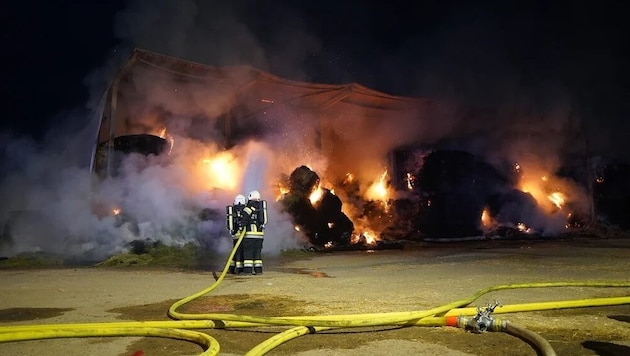 Feuerwehren aus Niederösterreich und Tschechien waren im Einsatz.