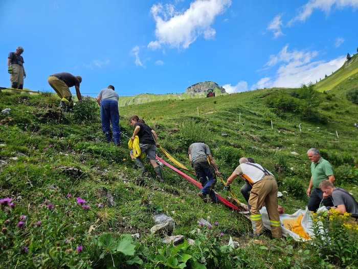 Viele Kameraden waren im Einsatz, um das Tier zu befreien.