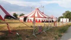 Derzeit gastiert wieder ein Zirkus in Eisenstadt – allerdings ein anderer als im April.