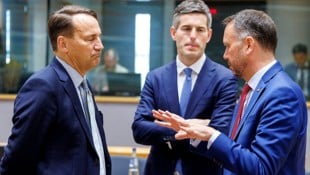 Polens Außenminister Radoslaw Sikorski (li.) und seine Amtskollegen aus den Niederlanden und ...