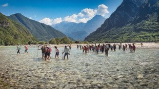 Auf rund 170 Kilometern fließt der Tagliamento nahezu unverbaut von den Friauler Dolomiten bis ...