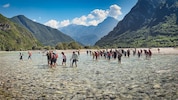 Auf rund 170 Kilometern fließt der Tagliamento nahezu unverbaut von den Friauler Dolomiten bis ...