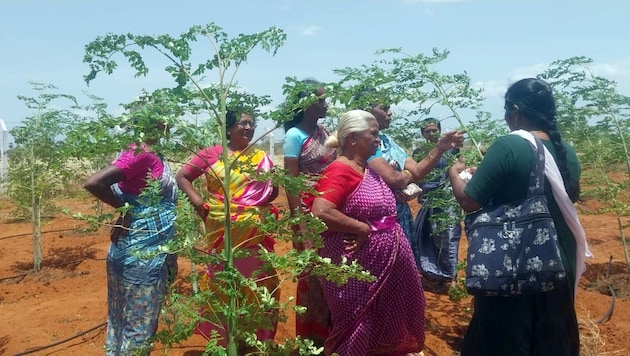Bäuerinnen in Indien im „Back 2 Nature“-Programm von Jugend Eine Welt