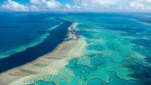 Das Great Barrier Reef