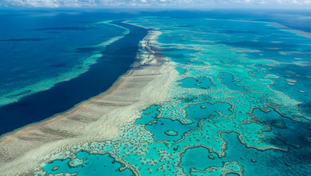 Das Great Barrier Reef