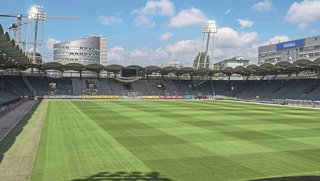 Der neue Rasen in Liebenau kostete 250.000 Euro.