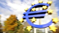 Tschechiens Zentralbankchef Ales Michl ist gegen einen Euro-Beitritt seines Landes zum aktuellen ...