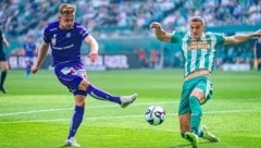 Eggestein (li.) war in der letzten Saison Austrias Aushängeschild in der Offensive.