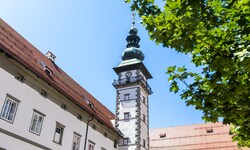 Am 29. Juli findet die erste Sitzung des U-Ausschusses statt.