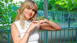 „Krone“-Redakteurin Hannah Neudeck durfte gemeinsam mit einer Chamäleon-Dame einen Blick auf den ...