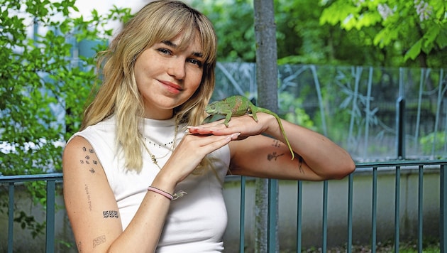 „Krone“-Redakteurin Hannah Neudeck durfte gemeinsam mit einer Chamäleon-Dame einen Blick auf den ...