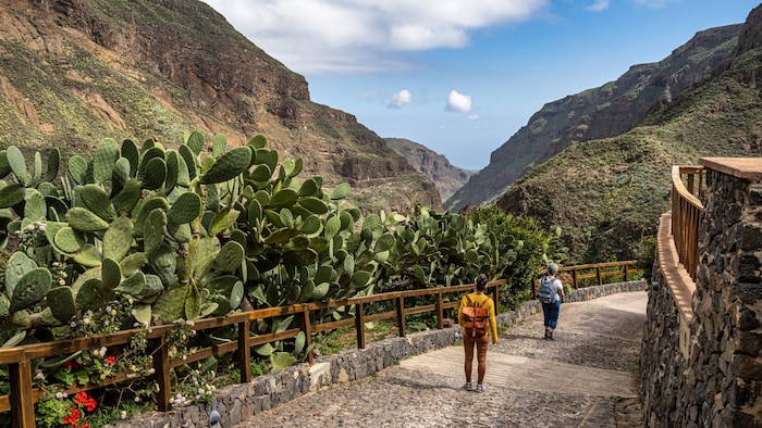 Die gewaltige Schlucht Barranco de Guayadeque.