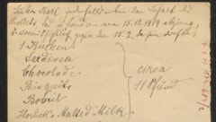 Ein Brief von Emma Fridezko an ihren Bruder Karl Kraus vom Jänner 1920. Inhalt: Lebensmittel, ...