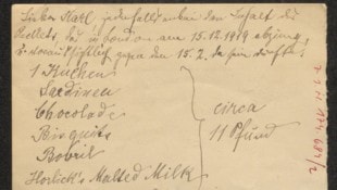 Ein Brief von Emma Fridezko an ihren Bruder Karl Kraus vom Jänner 1920. Inhalt: Lebensmittel, ...