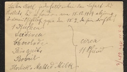 Ein Brief von Emma Fridezko an ihren Bruder Karl Kraus vom Jänner 1920. Inhalt: Lebensmittel, ...