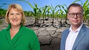 Hitze, Wassermangel, Dürre – Helga Krismer (Grüne) und Matthias Zauner (ÖVP) geraten sich wegen ...