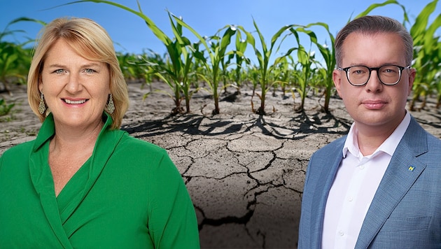 Hitze, Wassermangel, Dürre – Helga Krismer (Grüne) und Matthias Zauner (ÖVP) geraten sich wegen ...