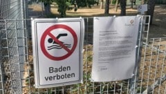 Wegen deutlich erhöhter E.-coli-Werte darf im Badeteich St. Margarethen bis auf Weiteres nicht ...