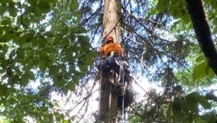 Ein Paragleiter hatte am Mittwoch Glück im Unglück. 