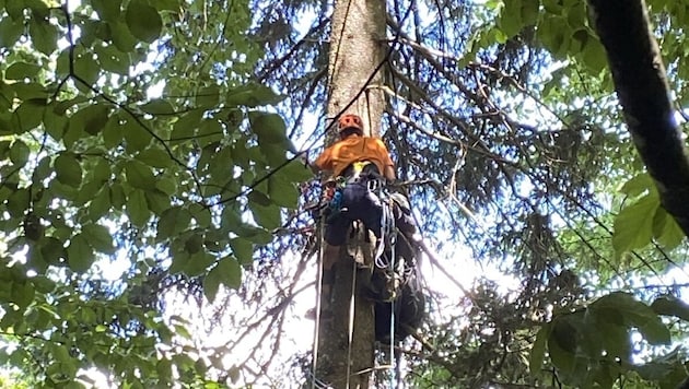 Ein Paragleiter hatte am Mittwoch Glück im Unglück.