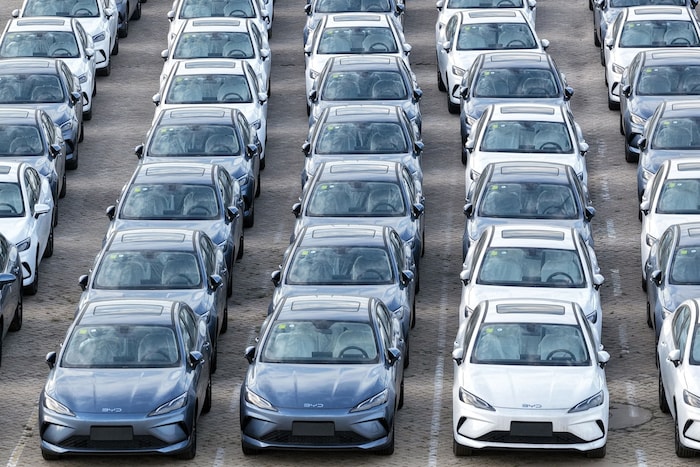 Chinesische Anbieter wie BYD