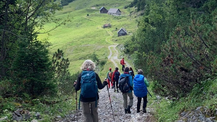 Das steirische Volksbildungswerk bietet zum Beispiel mehrtägige Wanderungen an, bei denen man ...
