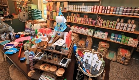 Wie im Schlaraffenland zu Besuch bei Happi Pappi in Perchtoldsdorf.