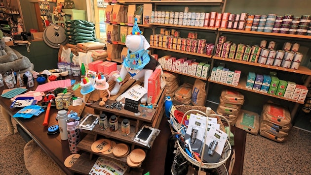 Wie im Schlaraffenland zu Besuch bei Happi Pappi in Perchtoldsdorf.