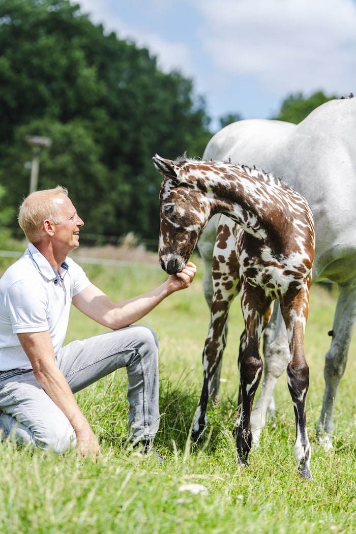 Züchter Steffen Krehl mit dem kleinen Hengst, der auf seinem Gestüt in Brandenburg zur Welt kam.