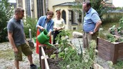 Das Urban-Gardening-Projekt im Pfarrgarten St. Stephan verbindet Erholung, Gemeinschaft und ...