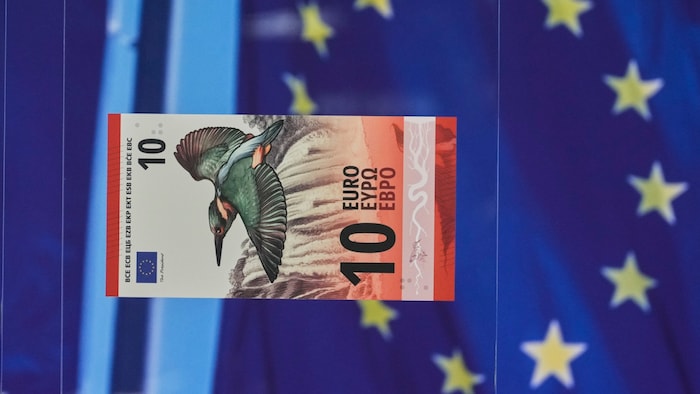 Ziert bald ein Eisvogel die neuen 10-Euro-Scheine?