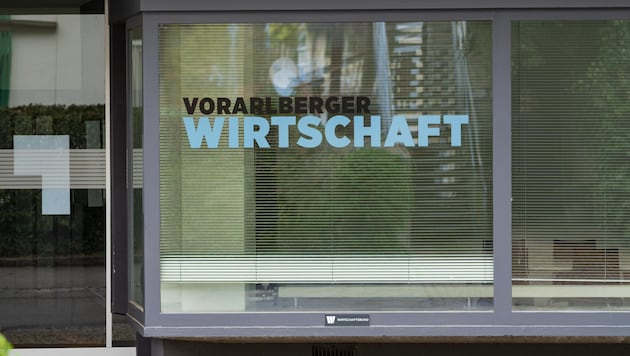 Der ÖVP-Wirtschaftsbund war für einige Unternehmer ein Vehikel, um gegen die Schaltung von ...