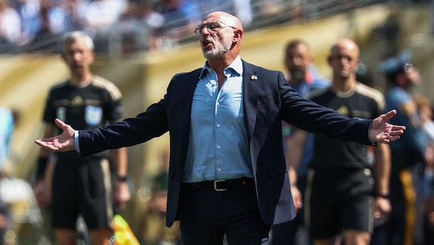 Spaniens Teamchef Luis de la Fuente hat kein Verständnis für die Argentinier.