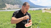 Die letzten Tests vor der Ernte. Landwirt Andreas Norz ist zufrieden mit dem, was er da sieht.