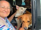 Die Grazerin konnte die beiden Hunde, die beide gesundheitliche Beeinträchtigungen haben, ...