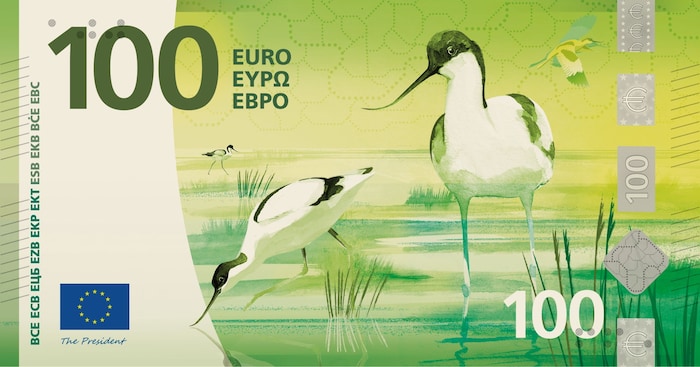 100-Euro-Schein: Säbelschnäbler