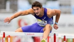 Enzo Diessl