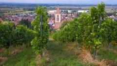 Der idyllische Wein- und Erholungsort darf sich über ein Überraschungs-Erbe freuen.