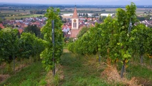 Der idyllische Wein- und Erholungsort darf sich über ein Überraschungs-Erbe freuen.