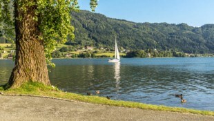 An Österreichs Seen – wie dem Ossiacher See – kann man heiße Sommertage genießen.