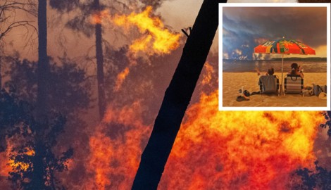Hitze, Trockenheit und starker Wind machen Europas Wälder derzeit zum Pulverfass. Rechts oben: ...