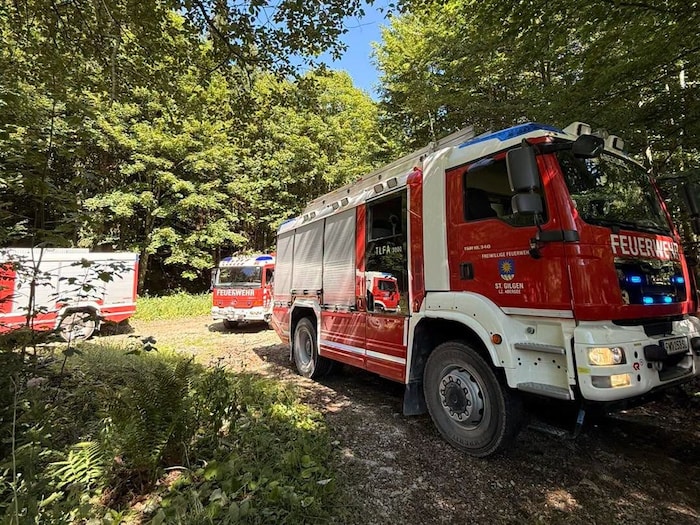 Mehrere Feuerwehren rückten im Eiltempo an.