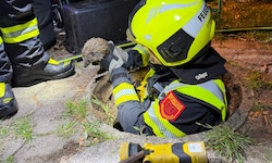 Die Feuerwehr Leopoldsdorf befreite einen Igel, der in einem Kanalrohr festgesteckt war.