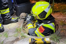 Die Feuerwehr Leopoldsdorf befreite einen Igel, der in einem Kanalrohr festgesteckt war.