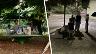 Eine Gruppe Jugendlicher mache im Meidlinger Miep-Gies-Park die ganze Nacht Lärm, beschwert sich ...