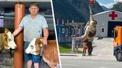 Am vergangenen Dienstag kam es zu dem Tierdrama. Am Tag darauf musste ein Hubschrauber ausücken.
